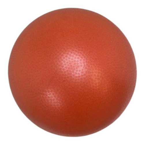 Kit C/4 Bolas Yoga Pilates Fisio Overball 25cm