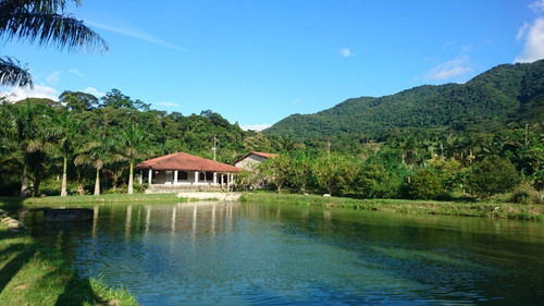Imagem 5 de 12 de Juquiá / Belo Sitio Com Lago/ac/propostas/ref:05351