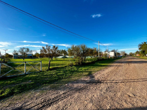Venta Terreno 550m² En Luis Palacios