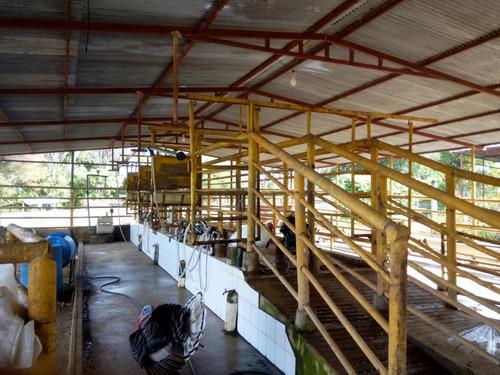 Imagen 15 de 27 de Se Vende Finca En Caicara De Maturin Sec Bajo Gde Ve02-1143cai-mtru