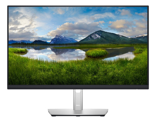 Monitor Dell P Series P2422h Lcd Full Hd