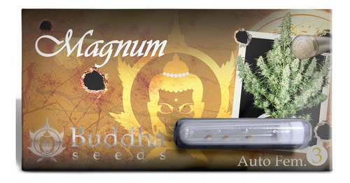 Buddha Magnum Auto Seeds X3