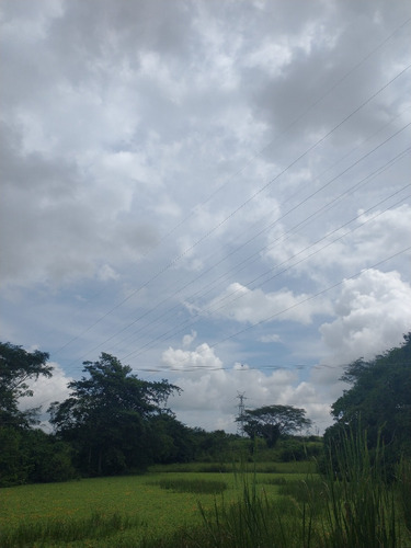 Imagen 11 de 30 de Oportunidad De Inversion Vendo Finca Grande Baranoa Atlántico
