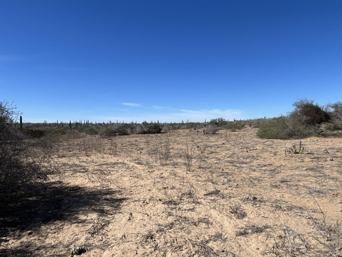 Km 43, El Mezquite De Don Dominguez