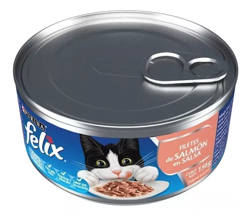 Primera imagen para búsqueda de felix el gato