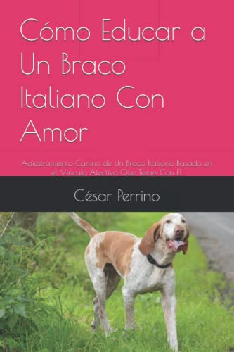 Como Educar A Un Braco Italiano Con Amor: Adiestramiento Can