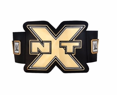 Wwe Nxt Championship Toy Title Belt /cinturon Para Niños Wwe