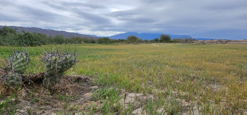 Venta Campo De 7.100 Has En Talacasto, Ullum