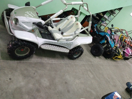 Imagem 13 de 14 de Míni Buggy Motor De 200cc 4 Tempo Excelente Comporta Adulto