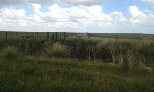 Frente Camino La Carrindanga