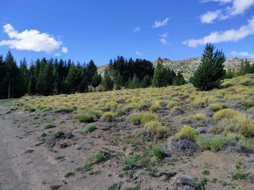 Imagen 2 de 4 de Terreno En Venta Ñirihuau - Bariloche