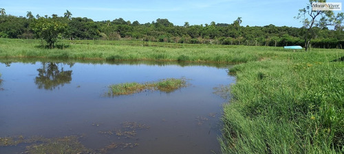 Imagem 14 de 15 de Chácara Para Venda Em São José Dos Pinhais, Agaraú - Cha2202_1-2421184
