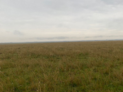 Campo En Paysandú Ref. 8283 (ref: Cbr-1119)