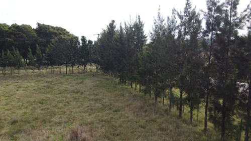 Campo En Venta En Punta Indio 2,8 Hectáreas