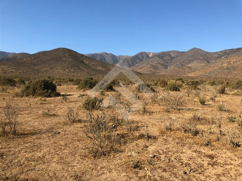 Agrícola En Venta En Andacollo