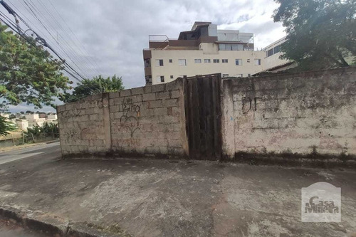 Imagem 5 de 5 de Lote À Venda No Fernão Dias - Código 267713 - 267713