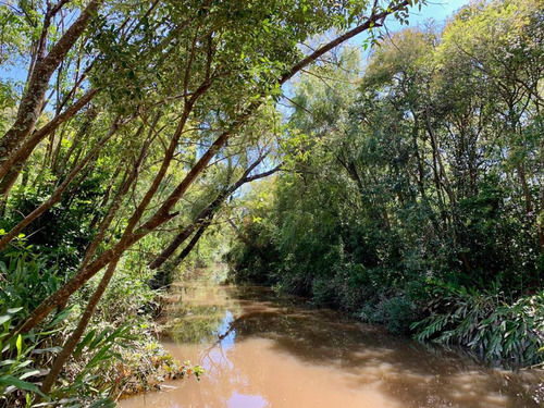 Lote Al Rio En Delta Tigre