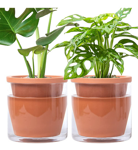 D'vine Dev 6 Inch Design Self Watering Pot Para Plantas De I