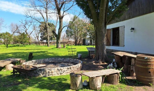 Campo En Venta - 2 Dormitorios 1 Baño - 12.000mts2 - Exaltación De La Cruz