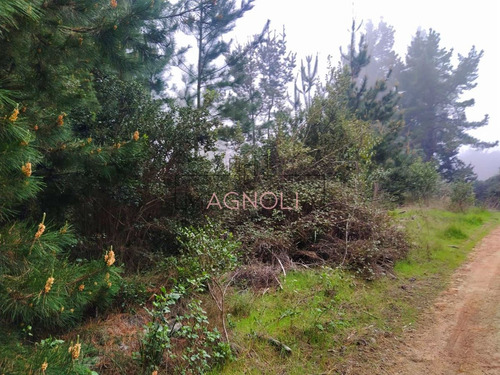 Sitio En Venta De 1500 M2 Camino A Puertecillo, Navidad