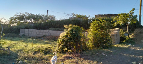 Imagen 2 de 6 de Venta De Terreno En El Municipio Del Crucero.