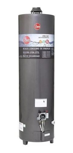 Imagen 5 de 7 de Termotanque 160 Lts Rheem Gas Nat Alta Potencia Cuotas Beiro