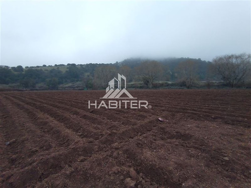 Imagen 6 de 30 de Agrícola En Venta En Teno