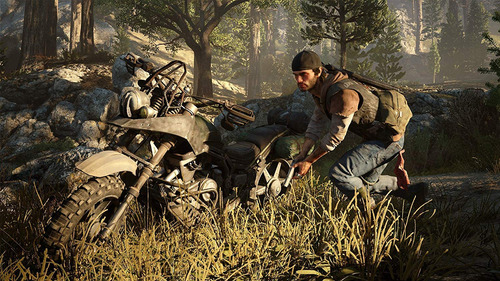 Videojuego Playstation 4 Days Gone