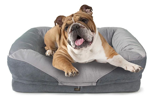 Moises Sofa Cama Para Perros, Gatos. Mediano  Ortopedico 