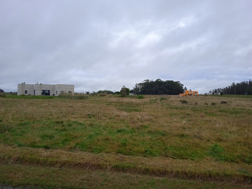Imagen 11 de 14 de Terreno Lote De 5.170 M2 La Pedrera Rocha