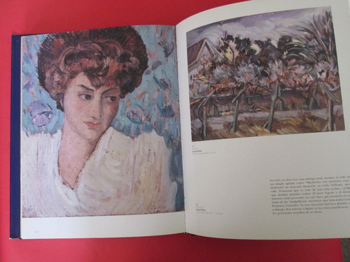 Catalogo La Pintura En Chile Coleccion Ji-sang Song Firmado (Usado)