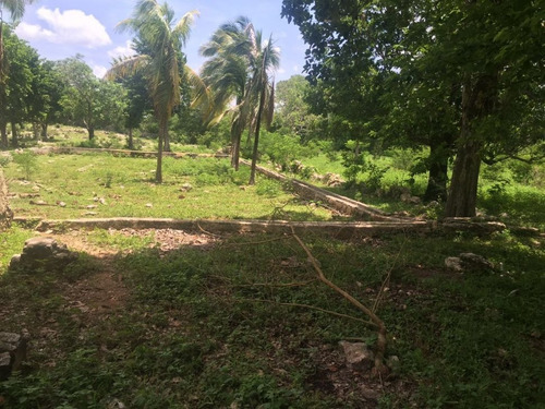 Imagen 6 de 30 de Hacienda En Venta En Campeche