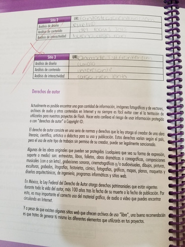 Animación Con Flash- Raúl Calao Rebouleen (Usado)