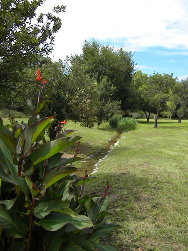 Imagen 25 de 30 de Se Venden 10 Ha En Valle Hermoso Con Servicios