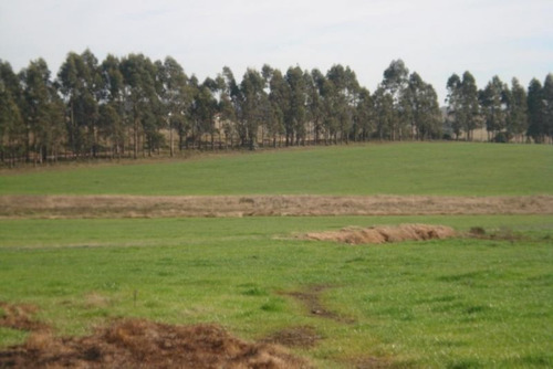 Campo En Venta En Garzón Rural