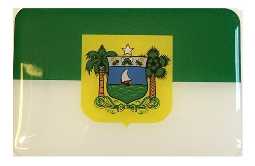 Adesivo Resinado Da Bandeira Do Rio Grande Do Norte 9x6 Cm