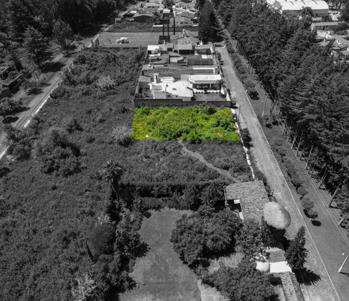 Imagen 3 de 5 de Terreno En Venta Residencial En Tenancingo