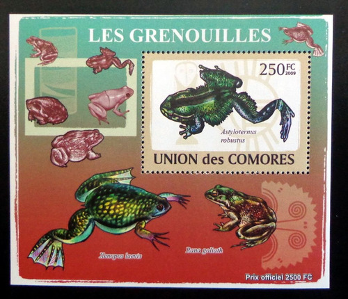 Comores Fauna, Bloque 1 Sello Ranas 250fc 09 Mint L9337