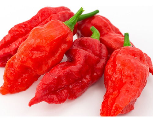 Semillas De Pimienta Fantasma - 25 +  Bhut Jolokia  De Ohio 