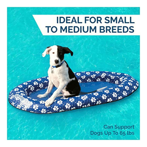 Swimways Spring Float Paddle Paws Botes Inflables De Piscina