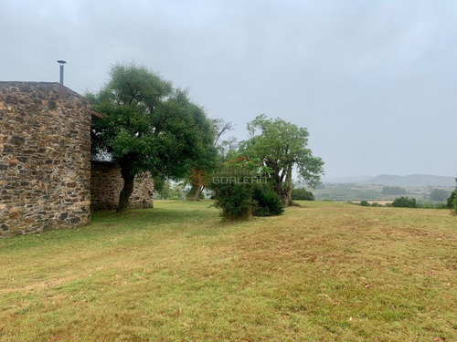 Chacra De 5 Has Con Importante Casa En Pueblo Edén, Ruta 12, Olivos Y Monte Nativo- Ref: 26793