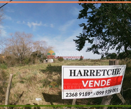 Imagen 1 de 18 de Chacra 3 Has En Venta, Melilla, Cerca De La Uam