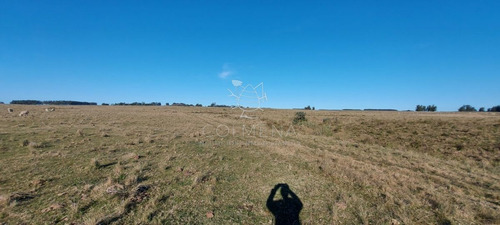 Imagen 8 de 28 de Venta Campo Ideal Para Fraccionar En Chacras Codigo 6003 - Las Garzas