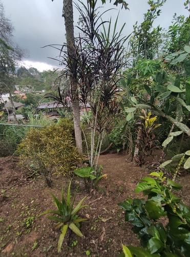 Imagen 4 de 10 de Comoda Casa En Calle Privada De San Diego De Los Altos