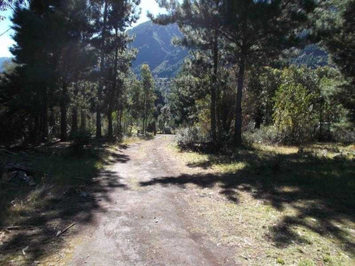 Imagen 1 de 20 de A 9 Km Del Centro De Pucón