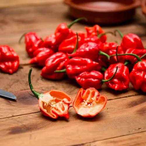 10 Semillas De Ají Trinidad Scorpion (súper Picante)