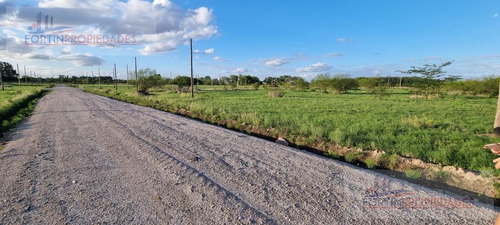 Imagen 3 de 7 de Terreno En Venta De 800 Mts2 En Los Hornos (162 E/79 Y 80)