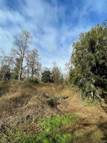 Parcela 6300m2 Arboles Nativos (105986)