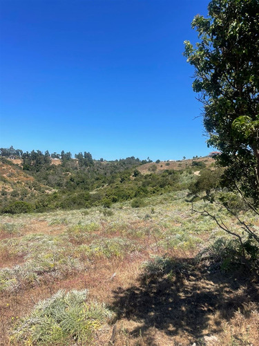 Sitio En Venta En Quintero