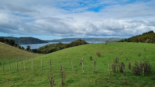 Vende Hermoso Predio De 7,38 Hás En Isla Tranqui, Chiloé!